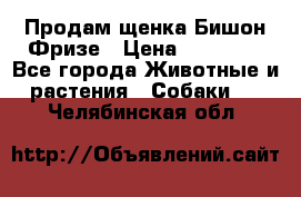 Продам щенка Бишон Фризе › Цена ­ 30 000 - Все города Животные и растения » Собаки   . Челябинская обл.